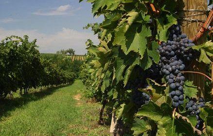 borgo-divino-2021-winter-edition