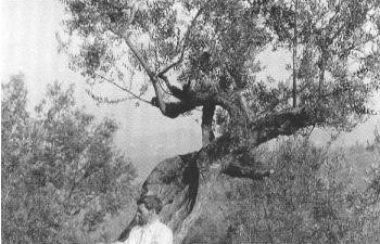 a805211454-lady-chatterley-nacque-a-firenze