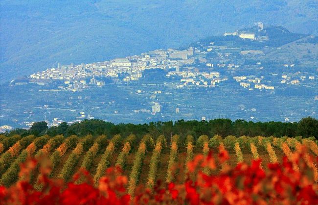 rievocazioni-e-spettacoli