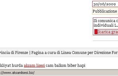 b004281306-craccato-il-sito-della-provincia-di-firenze