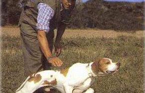 b205091941-scenari-di-caccia-riprodotti-in-piazza-falconieri-e-arceri-all-opera