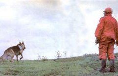 b110251809-scuola-nazionale-cani-guida-per-ciechi-sabato-prossimo-open-day