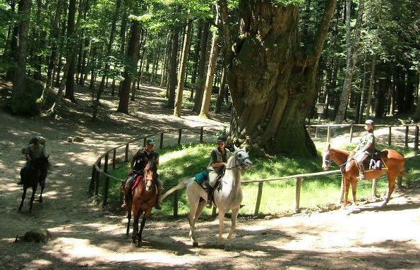b310241337-festa-rinascimentale-in-castello-il-27-ottobre-a-pontassieve