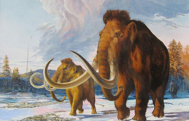 b107221444-cetona-inaugura-la-mostra-disegnare-l-archeologia