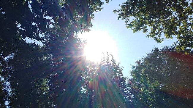 Il clima nel 2022: riassunto toscano