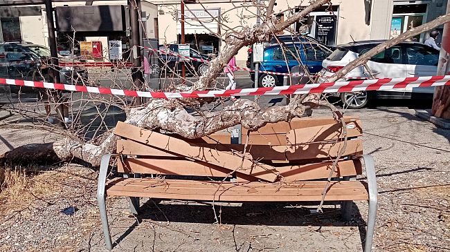 Galluzzo: cade ramo in piazza Acciaioli, panchina spaccata