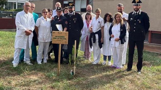 Torregalli: un pino d'Aleppo come 'sentinella' della salute