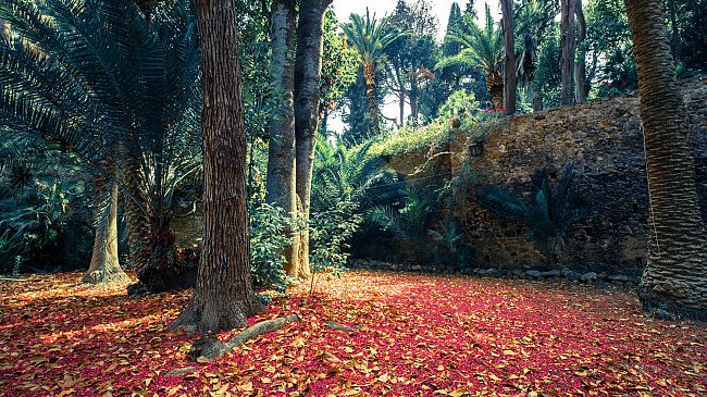 Apre al pubblico il patrimonio verde dei Marchesi Corsini