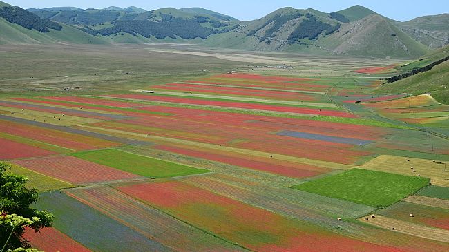 Siena vetrina d'eccellenza per i prodotti di Norcia, Amatrice e San Ginesio