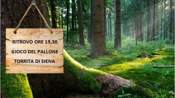 Torrita di Siena: battesimo per l'Associazione Avventure Toscane