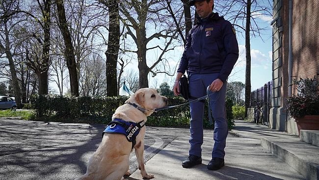 Servizi Straordinari Interforze a Firenze