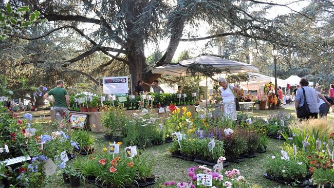 Domenica a Firenze: tante manifestazioni all'aria aperta