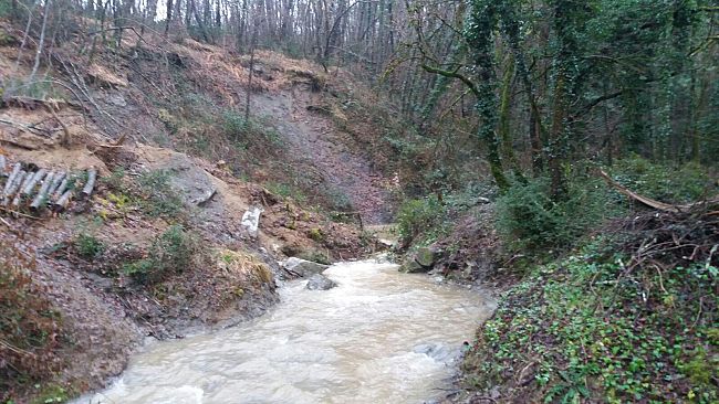 discarica-dimenticata-nel-rio-rovigo