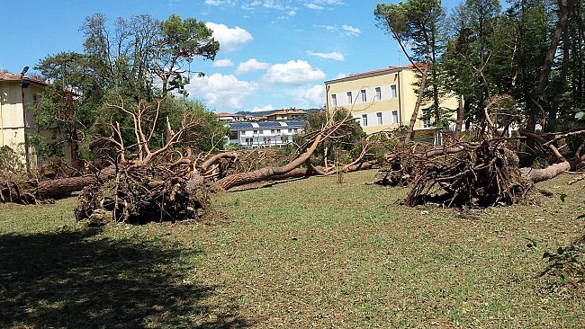 Temporali: lunedì allerta meteo arancione su tutta la Toscana