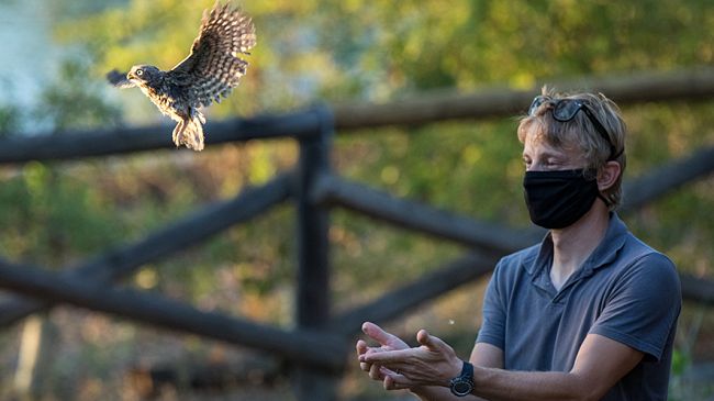 La liberazione pubblica di alcuni rapaci curati al Cetras di Empoli