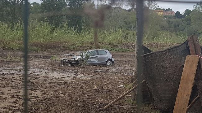 Livorno: campagne devastate, centinaia di olivi sradicati