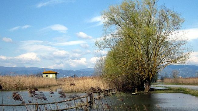 Biodiversità in Toscana tra Parchi e Riserve: il piano per il 2019