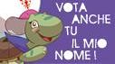 Campagna per dare un nome alla ‘Tartaruga con la vela’