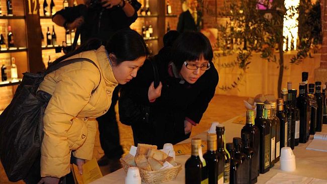 Olio toscano, la contraffazione ha raggiunto livelli preoccupanti