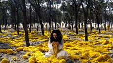 Shirin Neshat a Firenze il 9 marzo