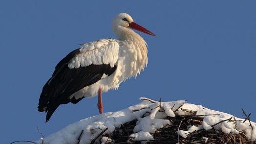 Niente più allerta meteo, ma rimangono criticità nella Toscana sud