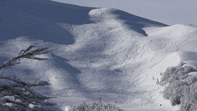 Il nuovo anno ha portato la neve