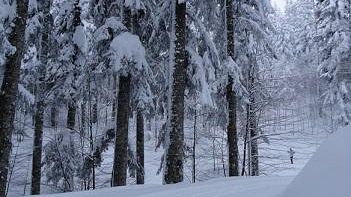 Toscana tutta imbiancata, tutte le iniziative e gli appuntamenti sciistici