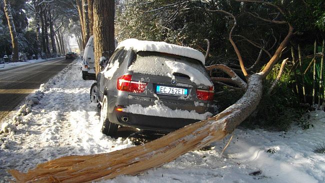Bambina colpita da ramo è in prognosi riservata al Meyer di Firenze