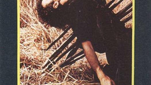 Cittadinanza onoraria ai fratelli Taviani