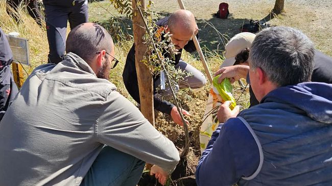 Parco Foreste Casentinesi: a dimora una pianta di antica cultivar