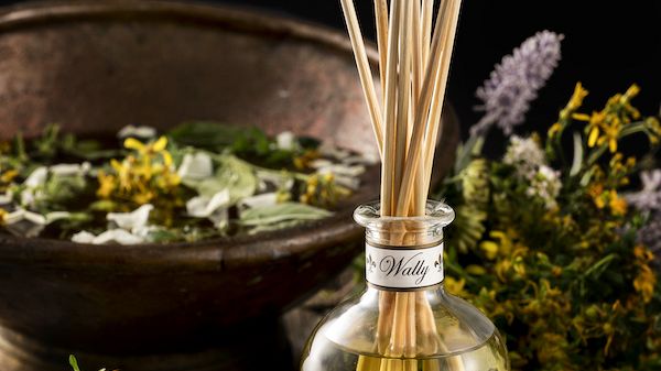 Wally 1925: le Erbe di San Giovanni