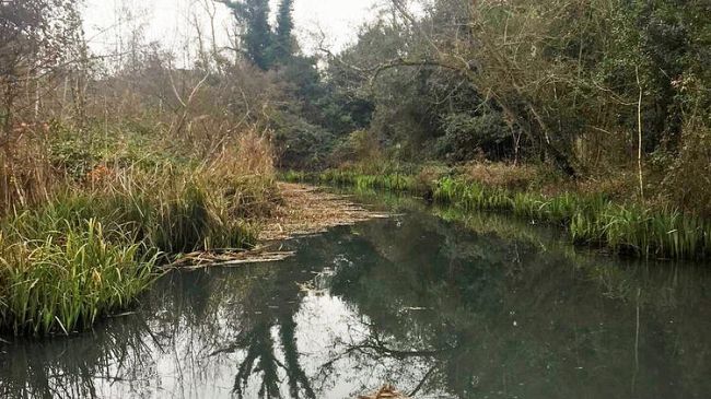 Pulito il fosso Fiumetto