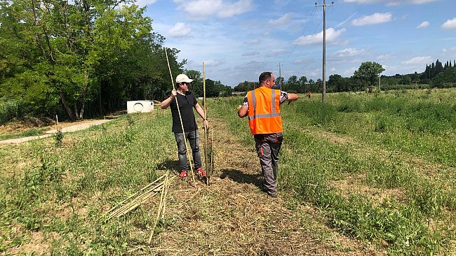 Cerbaia, cresce il polmone verde più grande della provincia fiorentina