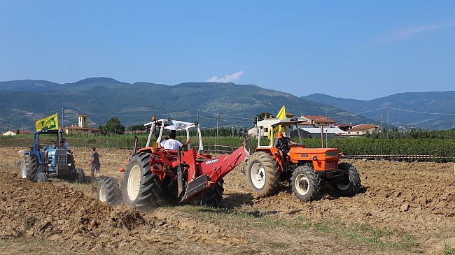 agricoltura-e-pesca-proposte-al-governo-alcune-modifiche-al-dl-cura-italia