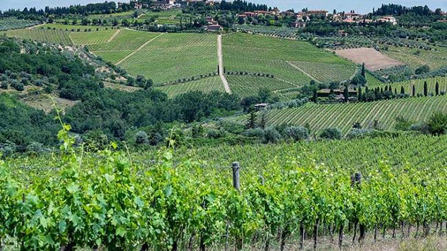 Etichette sanitarie: il vino è una minaccia per la salute?