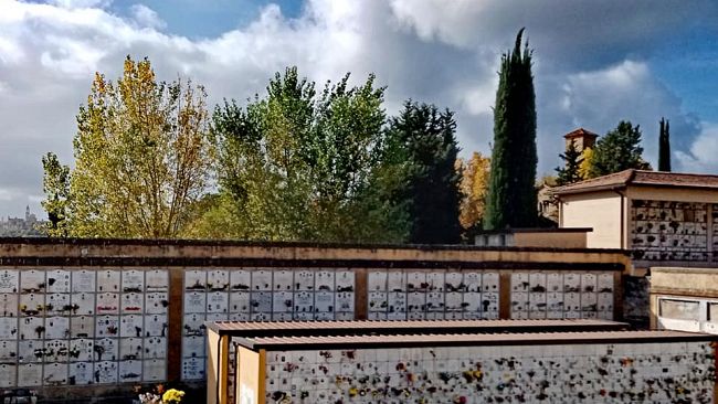 Resti di lapidi abbandonati nel bosco, parla l'assessore