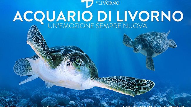 L'Acquario di Livorno presenta le novità 2014