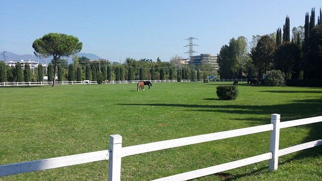 'Cantiere scuola': altri 2 milioni per i centri estivi in Toscana