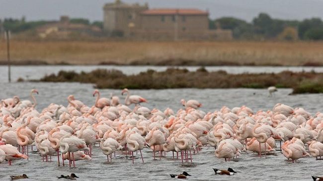 Aspettando Orbetello Book Prize dal 18 al 20 agosto