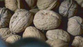 ChiantiMutua: ecco il nuovo Cda dell’iniziativa di welfare di ChiantiBanca