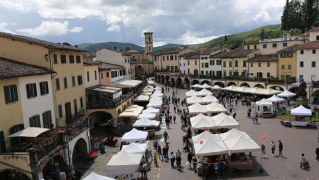 greve-in-chianti-capitale-italiana-delle-citta-slow