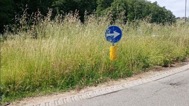 Erba alta alla rotonda di via delle Bagnese