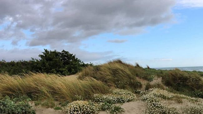 Prime escursioni nella natura d'autunno: appuntamenti sabato 3 e domenica 4 ottobre