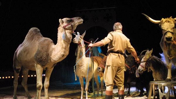 Domani protesta a Firenze contro il Circo