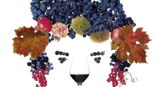 Lucca: il 6 e 7 maggio Anteprima Vini della Costa Toscana