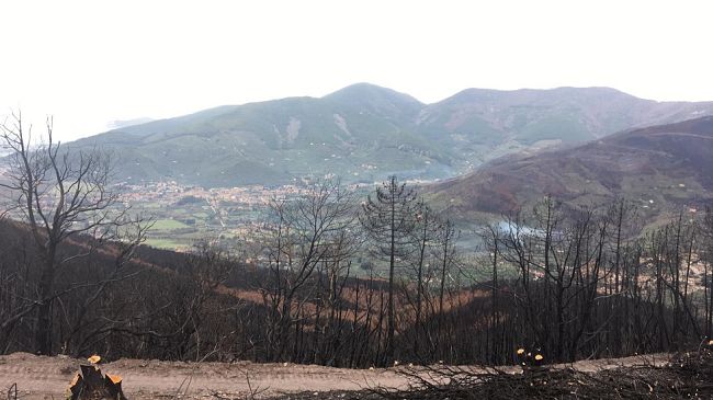 Brucia bosco ai piedi del Monte Amiata