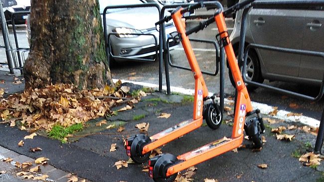 Casco per chi usa i monopattini, a Firenze il Pd non demorde