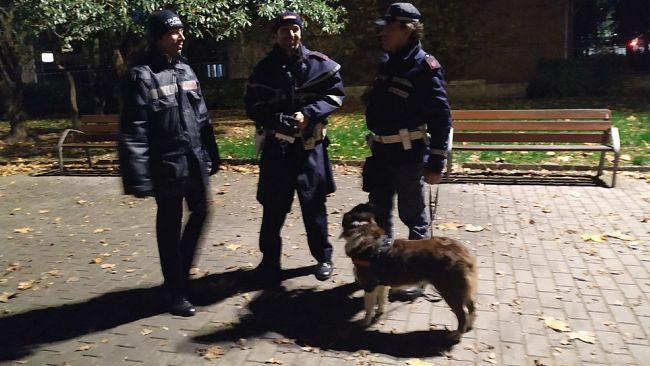 Ricoverata per Covid è costretta a lasciare solo il cane