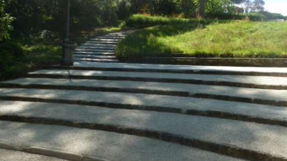 Taglio degli alberi: è il turno di un centinaio di pini neri tra viale Michelangelo e Bobolino