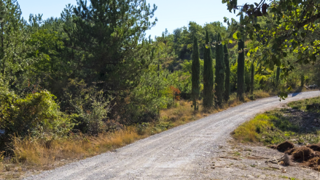 Turismo in Toscana durante e dopo l’emergenza sanitaria